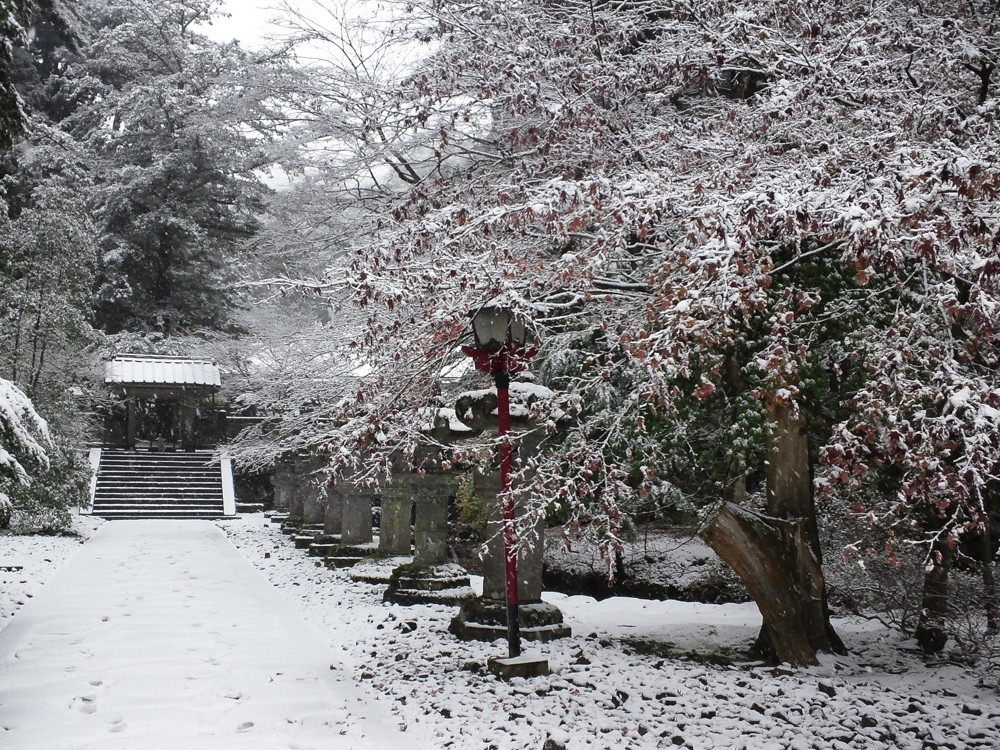 大寒の雪化粧に包まれた冬景色