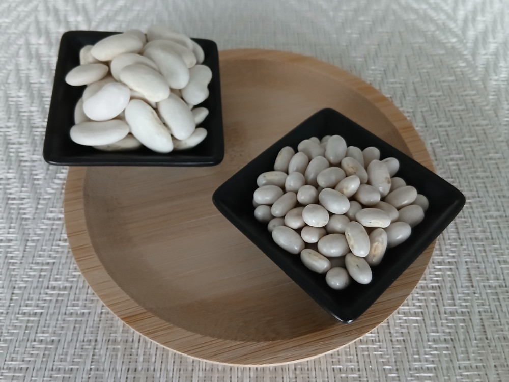 白く大粒で楕円形の大福豆（左）と、雪のように白い小粒の雪手亡豆（右）