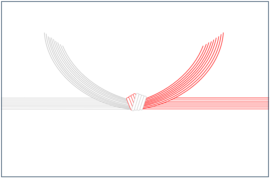 10本結び切り（結婚祝用）のサンプル画像