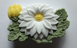 菊嵐・白の落雁